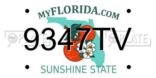 9347TV Florida License Plate