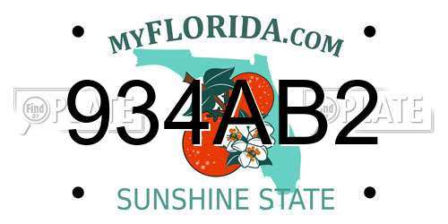 934AB2 Florida License Plate