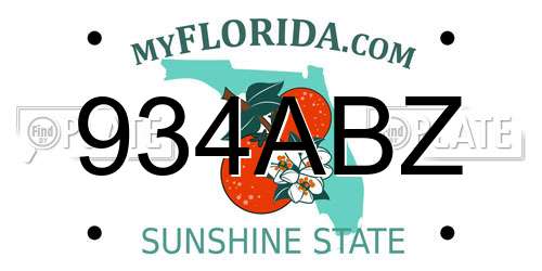 934ABZ Florida License Plate