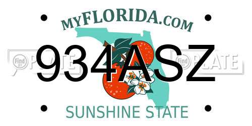 934ASZ Florida License Plate