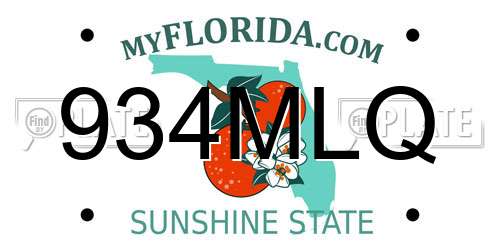 934MLQ Florida License Plate
