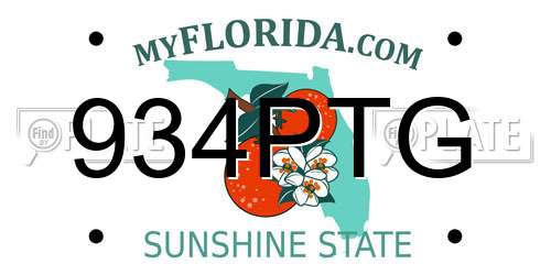 934PTG Florida License Plate