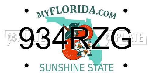 934RZG Florida License Plate