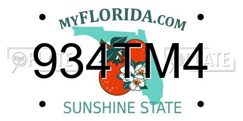 934TM4 Florida License Plate