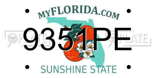 9351PE Florida License Plate