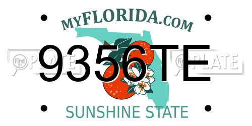 9356TE Florida License Plate