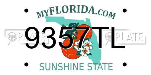 9357TL Florida License Plate