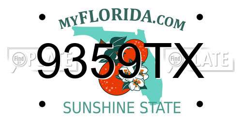 9359TX Florida License Plate
