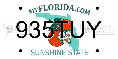 935TUY Florida License Plate