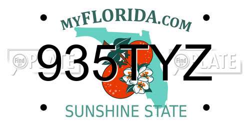 935TYZ Florida License Plate