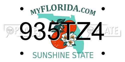 935TZ4 Florida License Plate