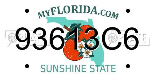 93613C6 Florida License Plate