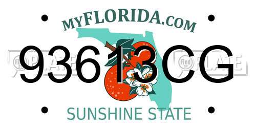 93613CG Florida License Plate
