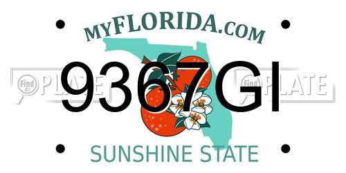 9367GI Florida License Plate