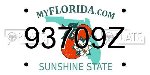 93709Z Florida License Plate