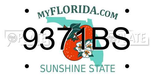 9371BS Florida License Plate
