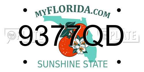 9377QD Florida License Plate