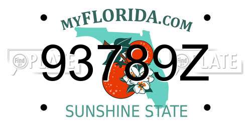 93789Z Florida License Plate