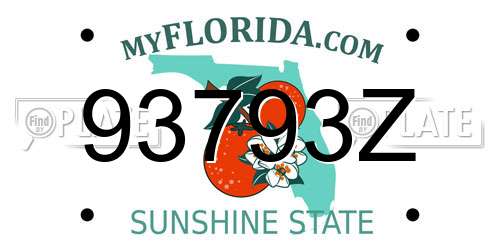 93793Z Florida License Plate
