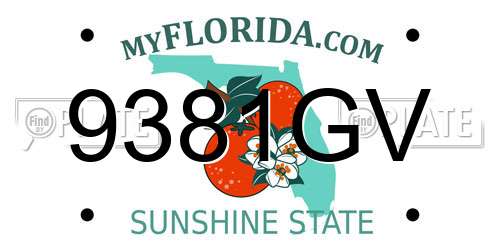 9381GV Florida License Plate