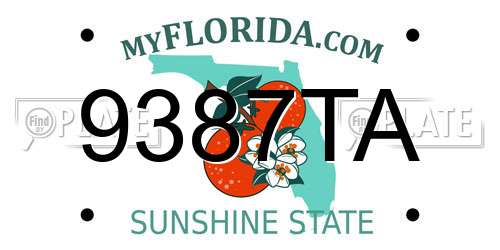 9387TA Florida License Plate