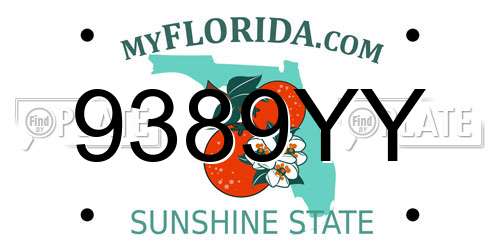 9389YY Florida License Plate