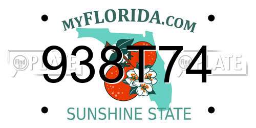 938T74 Florida License Plate