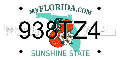 938TZ4 Florida License Plate