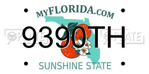 9390TH Florida License Plate