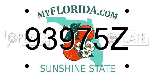 93975Z Florida License Plate