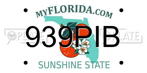 939PIB Florida License Plate
