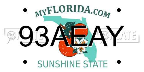 93AEAY Florida License Plate