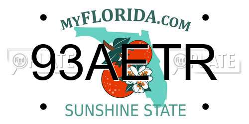 93AETR Florida License Plate