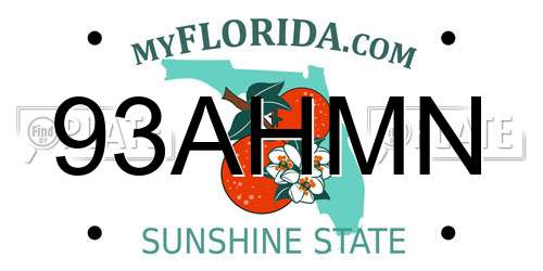 93AHMN Florida License Plate