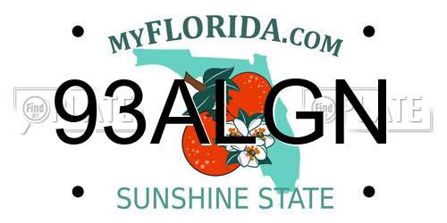 93ALGN Florida License Plate