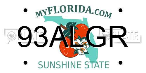 93ALGR Florida License Plate