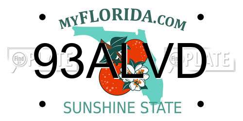 93ALVD Florida License Plate