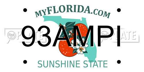 93AMPI Florida License Plate