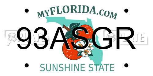 93ASGR Florida License Plate