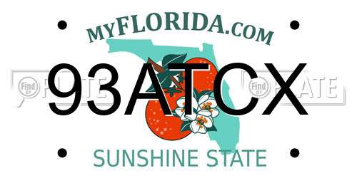 93ATCX Florida License Plate