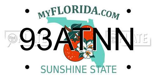 93ATNN Florida License Plate