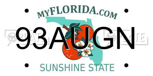 93AUGN Florida License Plate