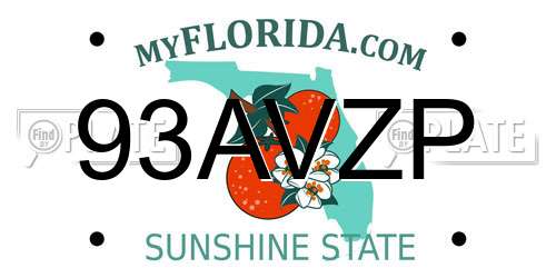 93AVZP Florida License Plate