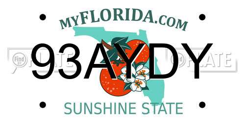 93AYDY Florida License Plate