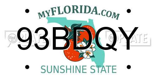 93BDQY Florida License Plate