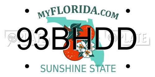 93BHDD Florida License Plate