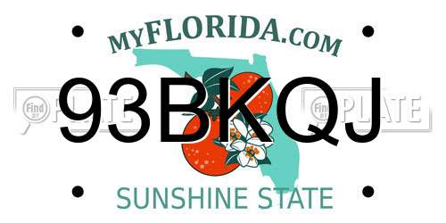93BKQJ Florida License Plate