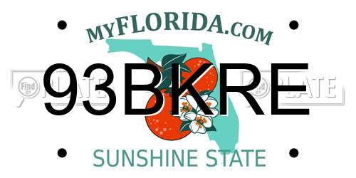 93BKRE Florida License Plate