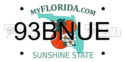 93BNUE Florida License Plate