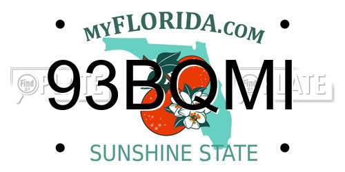 93BQMI Florida License Plate